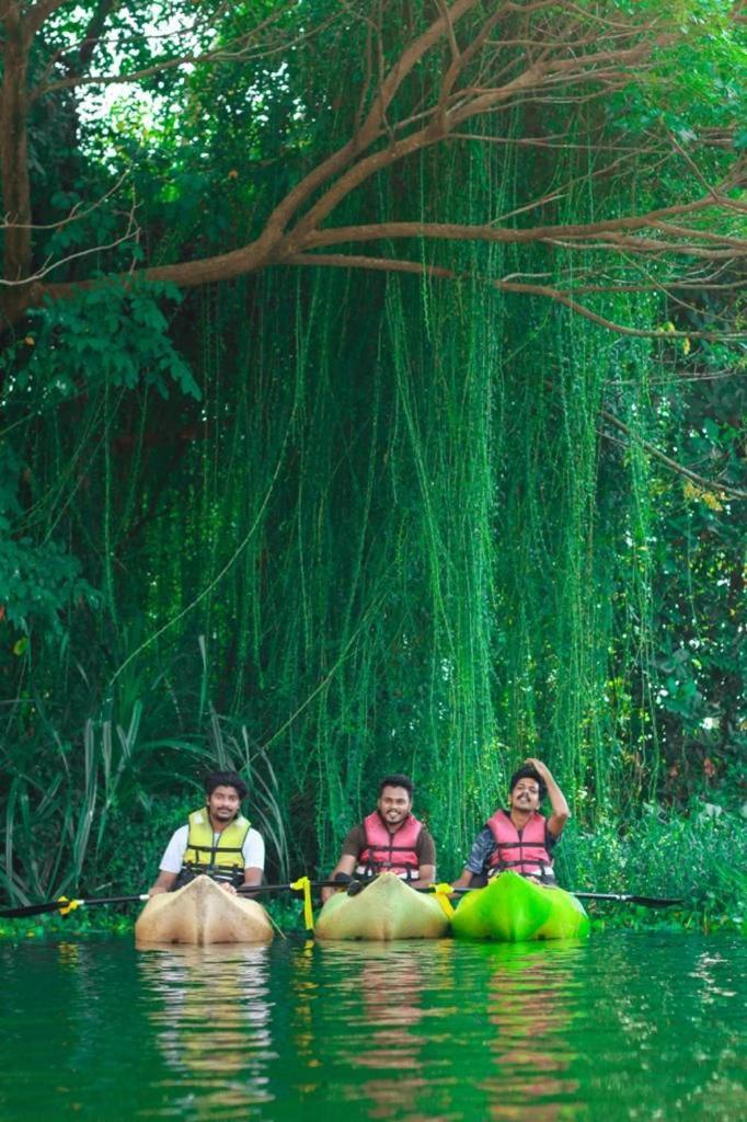 Dream Nest Guest House Alappuzha Luaran gambar